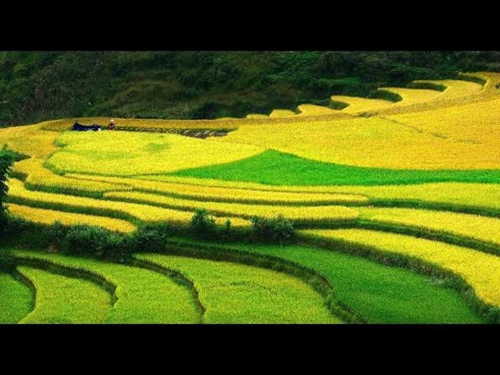 Từ