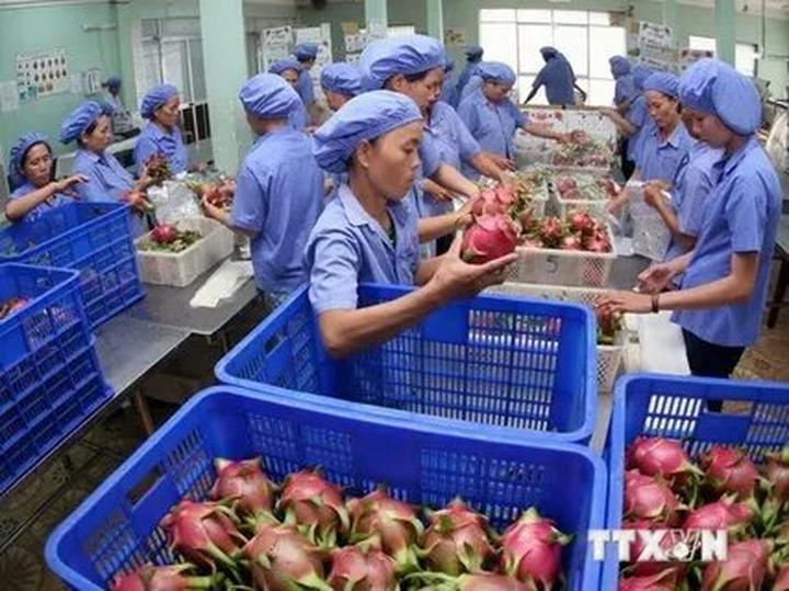 Video ngắn – Giải pháp truyền thông thông minh cho doanh nghiệp nhỏ