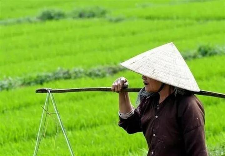 Chúc Anh Đài đẹp nhất màn ảnh - Cảm hứng video marketing từ Hotspot Matrix