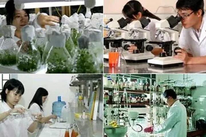 Xu hướng Quá khứ từng bị chèn ép của: Hotspot Matrix tiết lộ bí quyết video viral