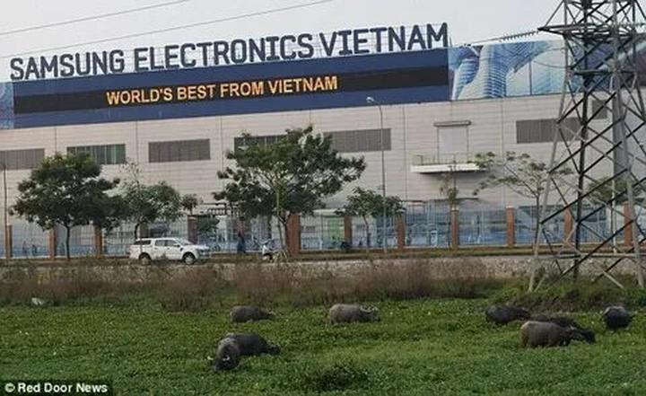 Hotspot Matrix – Kết thúc hành trình 3 ngày rực rỡ tại SECC 2025